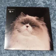 2026年最新】カネコアヤノ 燦々 レコードの人気アイテム - メルカリ