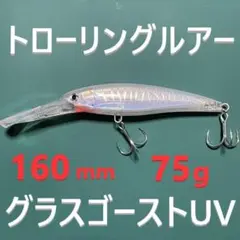 2026年最新】トローリングルアーの人気アイテム - メルカリ