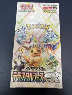 2026年最新】テラスタルフェスex BOX 未開封の人気アイテム - メルカリ