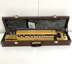 2026年最新】琴伝流大正琴の人気アイテム - メルカリ