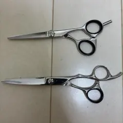 2026年最新】ミズタニシザーの人気アイテム - メルカリ