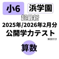2026年最新】浜学園 公開テスト 小6の人気アイテム - メルカリ