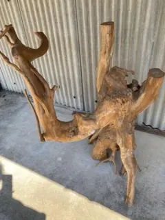 2026年最新】木の根 オブジェの人気アイテム - メルカリ