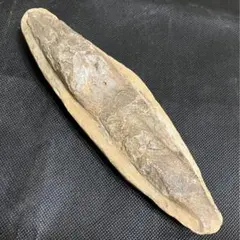 2026年最新】ラコレピスの人気アイテム - メルカリ