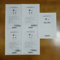 2026年最新】sapix 入室テストの人気アイテム - メルカリ