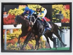 2026年最新】ステイゴールド ポスターの人気アイテム - メルカリ