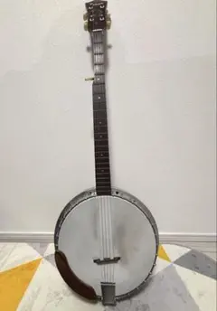 2026年最新】5弦バンジョーの人気アイテム - メルカリ