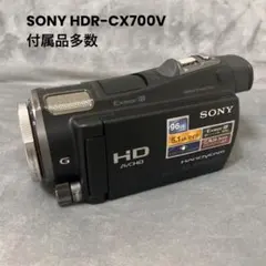 2026年最新】HDR-CX700vの人気アイテム - メルカリ