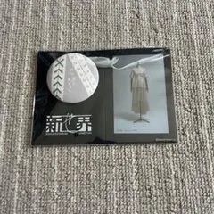 2026年最新】新せ界 櫻坂 ファブリックの人気アイテム - メルカリ