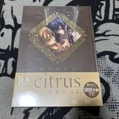 2026年最新】citrus artbookの人気アイテム - メルカリ