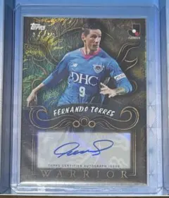 2026年最新】フェルナンド トーレス サインの人気アイテム - メルカリ