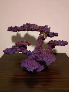 2026年最新】人工 ライブロックの人気アイテム - メルカリ