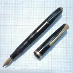 2026年最新】万年筆 warrantedの人気アイテム - メルカリ