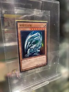 2026年最新】青眼の白龍 scb1-jpp 1の人気アイテム - メルカリ