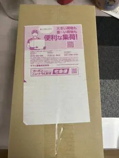 2026年最新】ポケモンセンター スペシャルboxの人気アイテム - メルカリ