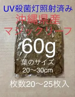 2026年最新】マジックリーフの人気アイテム - メルカリ