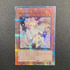 2026年最新】クォーターセンチュリー うららの人気アイテム - メルカリ