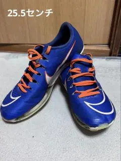 2026年最新】エアズームマックスフライ 25の人気アイテム - メルカリ