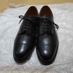 2026年最新】シェットランドフォックス ドレイトンの人気アイテム