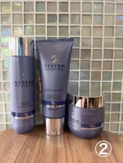 2026年最新】SYSTEM PROFESSIONAL シャンプーの人気アイテム - メルカリ