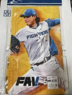 2026年最新】山崎福也 タオルの人気アイテム - メルカリ