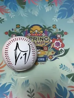 2026年最新】伊藤大海 サインボールの人気アイテム - メルカリ