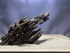 2026年最新】マシンガンウッドの人気アイテム - メルカリ