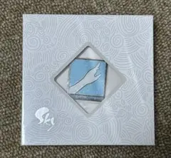 2026年最新】sky ピンバッジ 未連携の人気アイテム - メルカリ