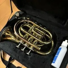 2026年最新】minerva トランペットの人気アイテム - メルカリ