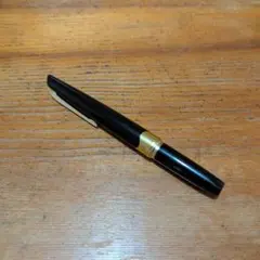 2026年最新】pilot 18k-750 万年筆の人気アイテム - メルカリ