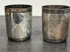 2026年最新】Puiforcatの人気アイテム - メルカリ