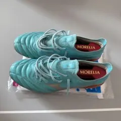 2026年最新】モレリアネオ3 アズールブルーの人気アイテム - メルカリ