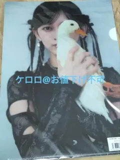 2026年最新】乃木坂 クリアファイルの人気アイテム - メルカリ