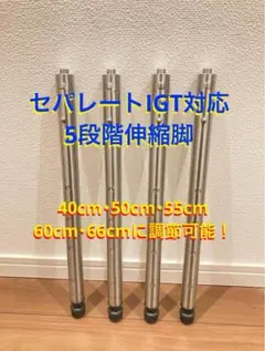 2026年最新】igt 脚の人気アイテム - メルカリ