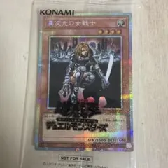 2026年最新】異次元の女戦士 シークレットの人気アイテム - メルカリ