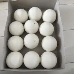 2026年最新】ソフトテニスボール練習球の人気アイテム - メルカリ