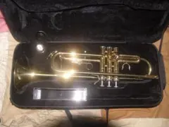 2026年最新】eastar トランペットの人気アイテム - メルカリ