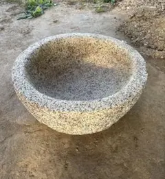 2026年最新】石臼 メダカの人気アイテム - メルカリ