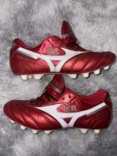 2026年最新】モレリアネオ3 パッションレッドの人気アイテム - メルカリ