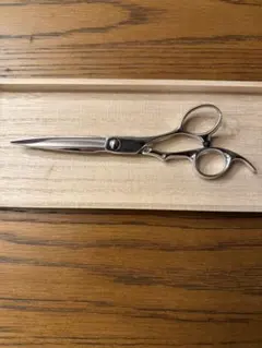 2026年最新】サイキシザーの人気アイテム - メルカリ