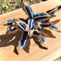 2026年最新】旅人の木の人気アイテム - メルカリ