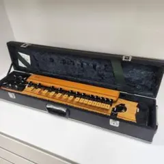 2026年最新】木村 大正琴の人気アイテム - メルカリ