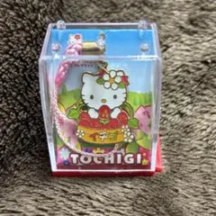 2026年最新】ご当地キティいちごの人気アイテム - メルカリ