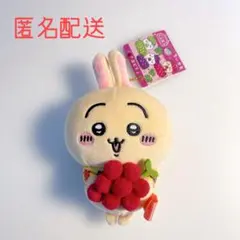 2026年最新】山梨 ちいかわの人気アイテム - メルカリ