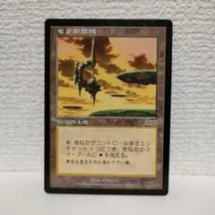 2026年最新】セラの聖域の人気アイテム - メルカリ