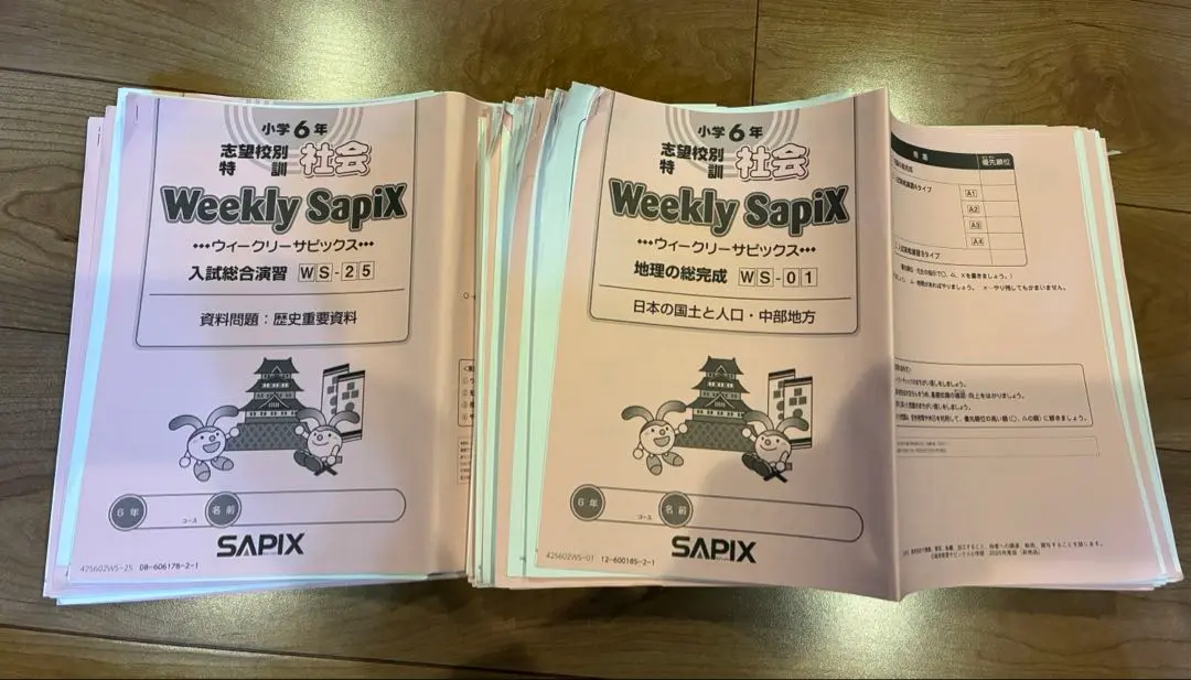 2026年最新】知識の総完成 サピックスの人気アイテム - メルカリ