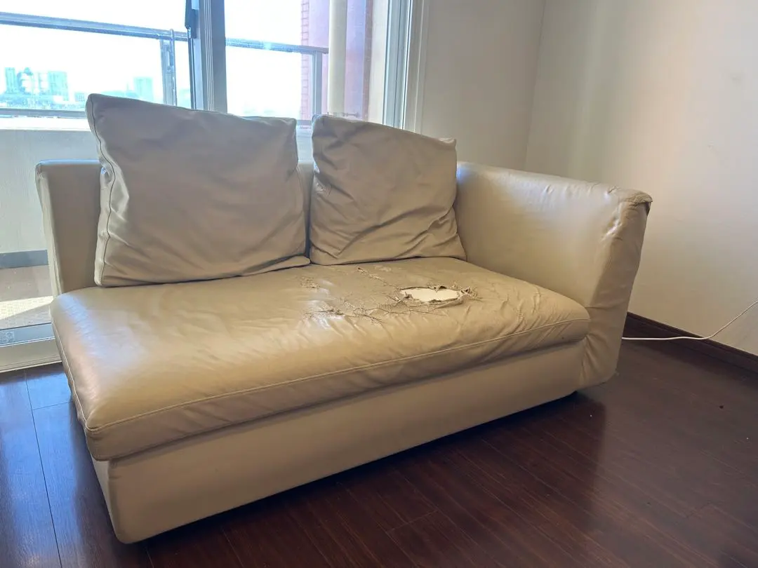 2026年最新】arflex SONAの人気アイテム - メルカリ