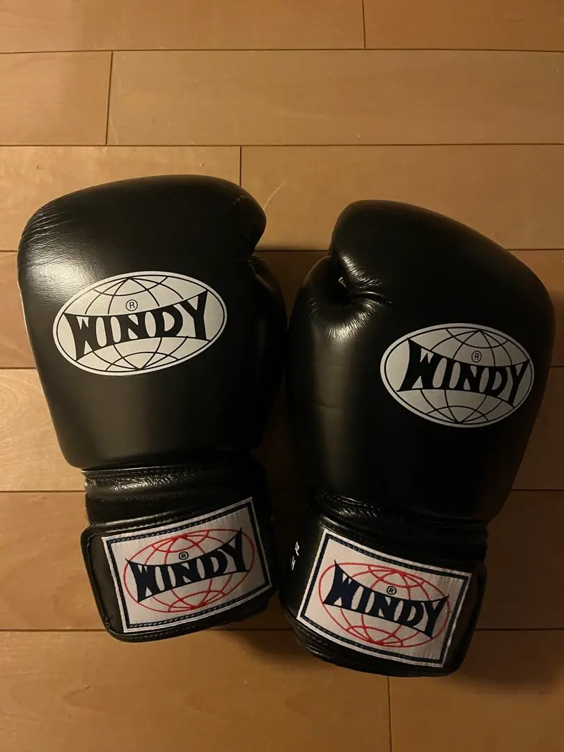 2026年最新】ボクシンググローブ 14オンス windyの人気アイテム - メルカリ