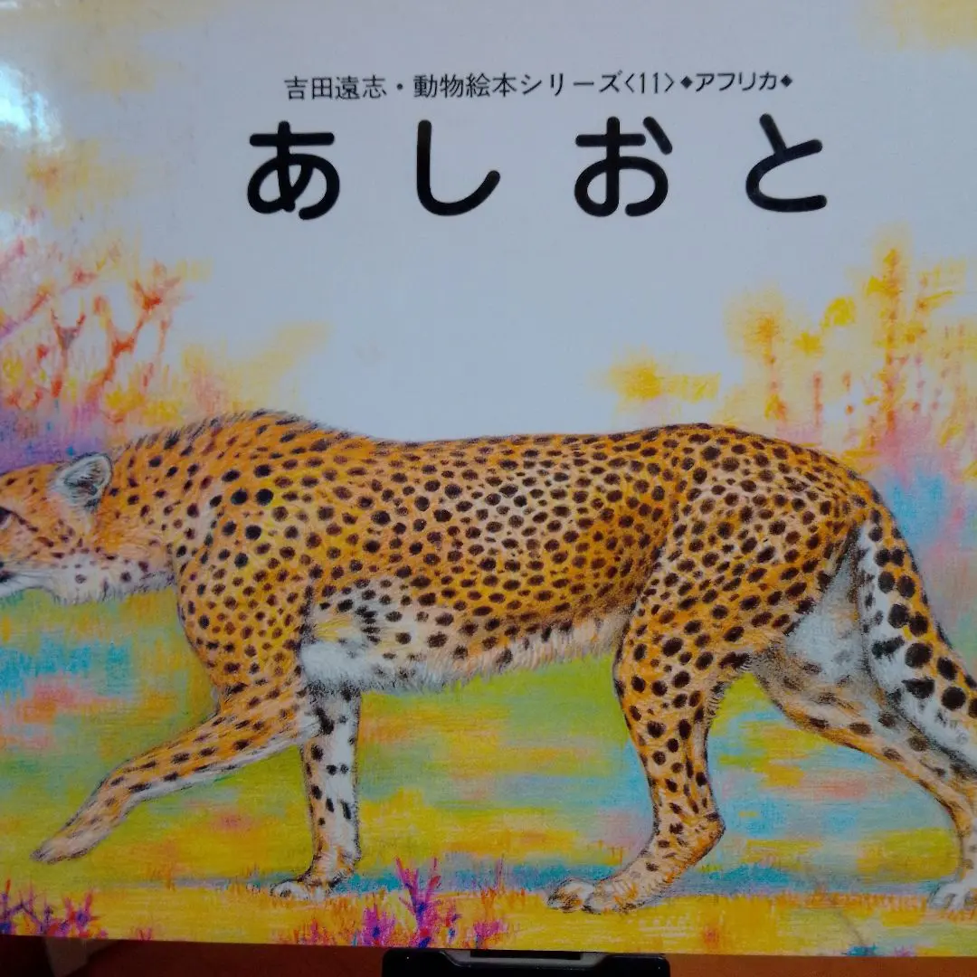 2026年最新】吉田遠志 動物絵本シリーズ?アフリカの人気アイテム
