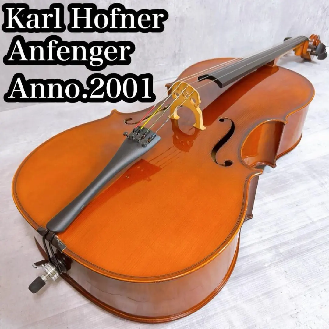 2026年最新】KARL HOFNER カールヘフナー 4/4の人気アイテム - メルカリ